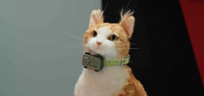 MWC 2025：8个超酷的科技产品！太阳能充电LiFi宠物智能手机(图4)